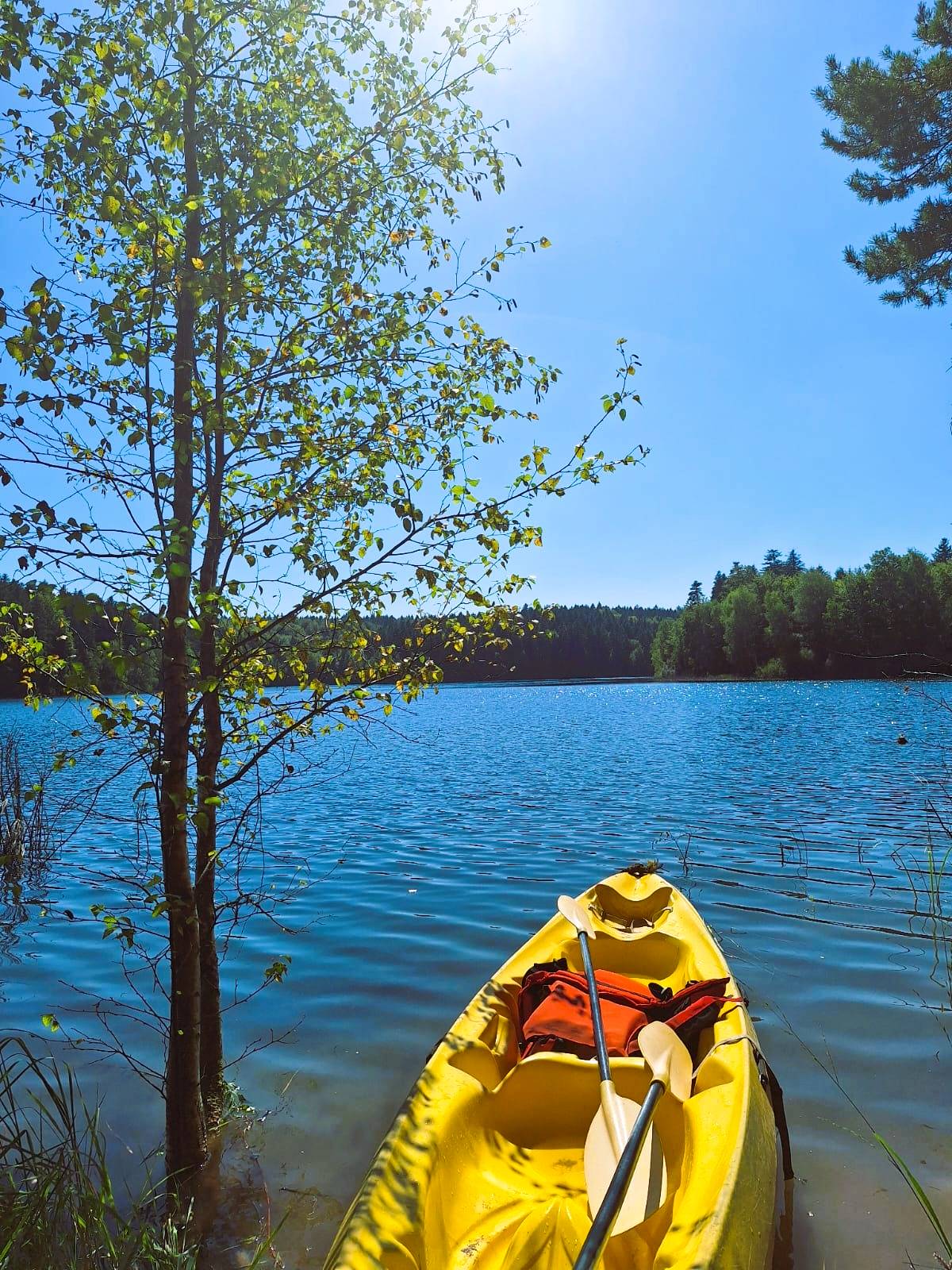 Location de chalet dans les Vosges avec SPA– Été 2025 🌿✨ Sélestat
